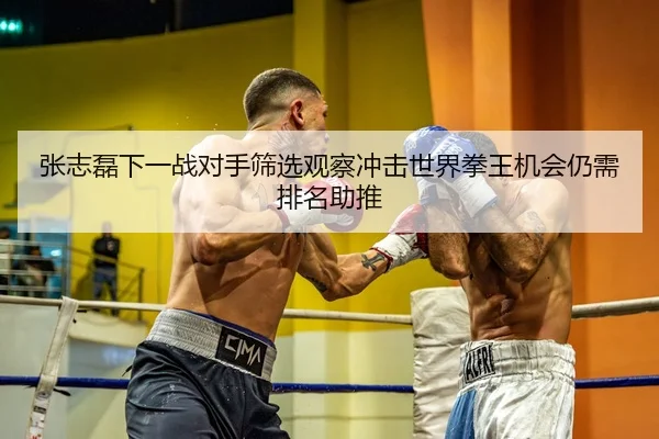 张志磊下一战对手筛选观察冲击世界拳王机会仍需排名助推