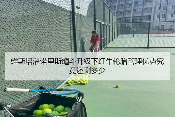 维斯塔潘诺里斯缠斗升级下红牛轮胎管理优势究竟还剩多少